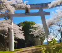 北山神社の鳥居