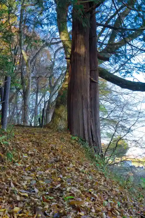千野川社(長野県)