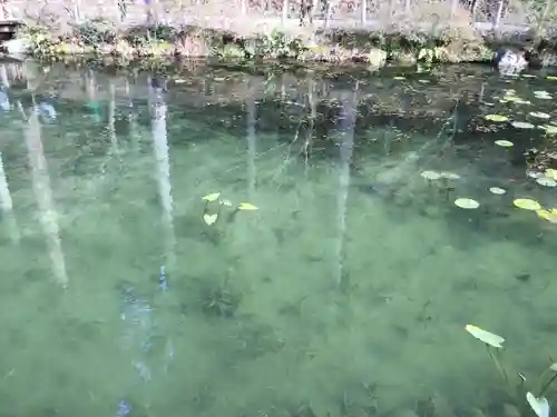 根道神社(岐阜県)