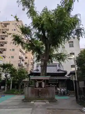 天神社(大阪府)