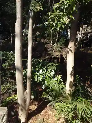 熊野神社(東京都)