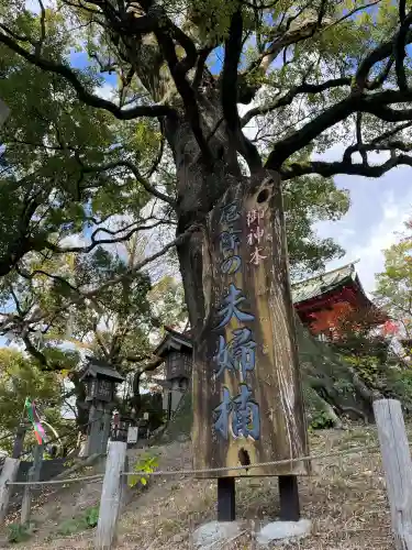 北岡神社(熊本県)