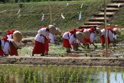 高屋敷稲荷神社のお祭り