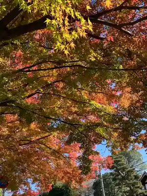 東福禅寺(東福寺)(京都府)