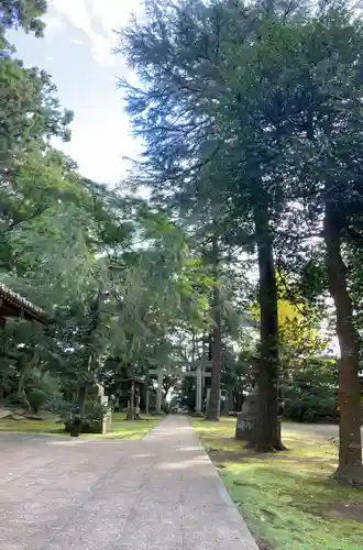 蛟蝄神社奥の宮の建物その他