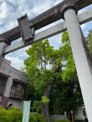 今市報徳二宮神社の鳥居