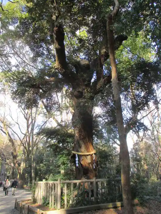 賀茂御祖神社(下鴨神社)(京都府)