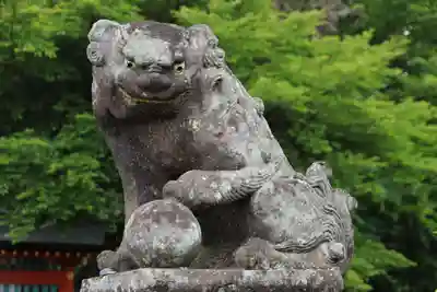 大鏑矢神社の狛犬