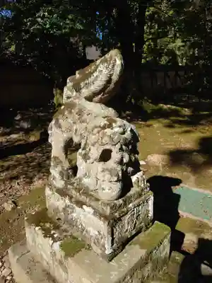 出雲大社北島国造館 出雲教の狛犬