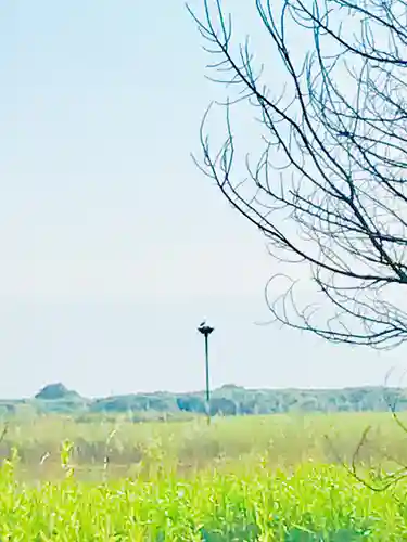 野木神社の周辺