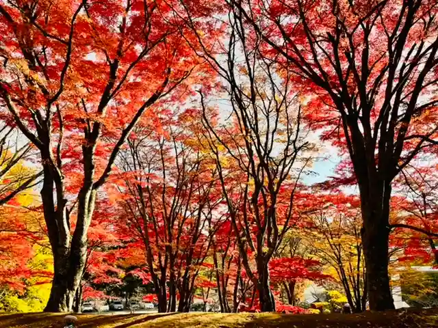 土津神社|こどもと出世の神さまの自然