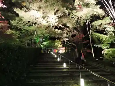 高台寺（高台寿聖禅寺・高臺寺）(京都府)
