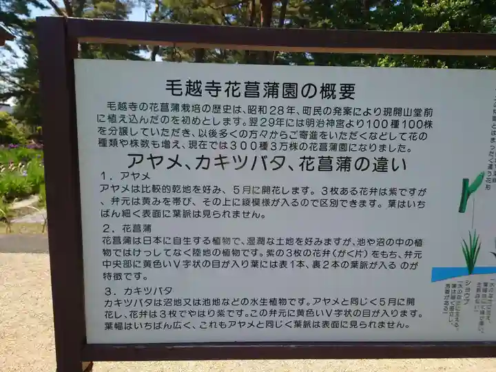 毛越寺(岩手県)