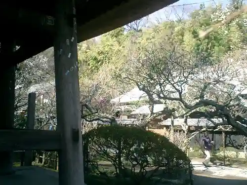 東慶寺の庭園