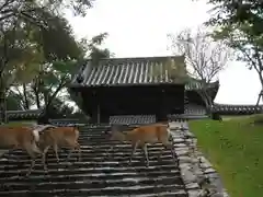 東大寺戒壇院戒壇堂の動物