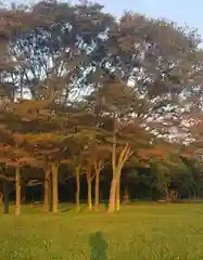 香取神社の自然