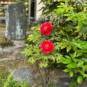伊勢の国 四天王寺(三重県)(2026年04月23日(木) 08時01分12秒投稿)