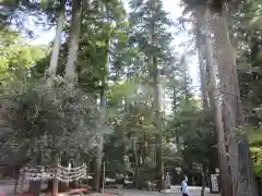 椿大神社の建物その他