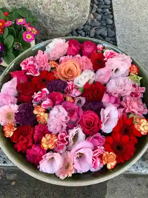 彌都加伎神社の手水舎