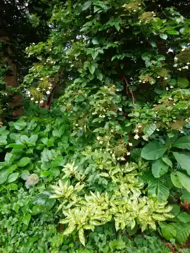 天満宮(北海道)