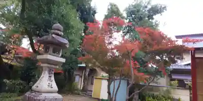 松尾大社(京都府)