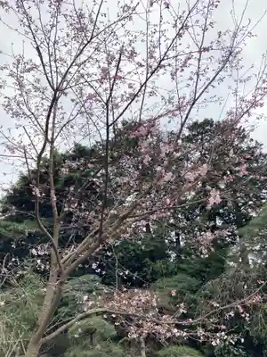 岩槻久伊豆神社(埼玉県)