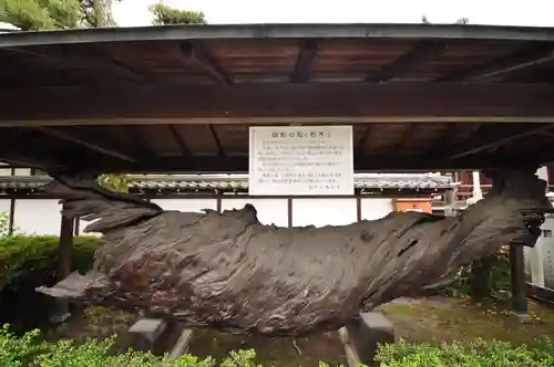 善通寺(香川県)