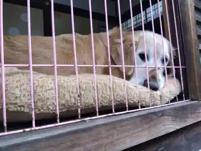 霊鑑寺門跡(京都府)