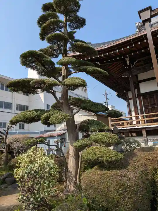 等覚寺(岐阜県)