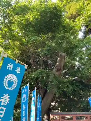 春日神社(神奈川県)