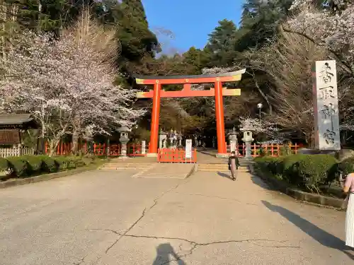 香取神宮の{uncategorized: "未分類", other: "その他", undefined: "問題あり", building: "その他建物", grave: "お墓", sacred_gate: "鳥居", guardian: "狛犬", statue: "像", buddha: "仏像", history: "歴史", nature: "自然", garden: "庭園", animal: "動物", pagoda: "塔", temizu: "手水舎", mountain_gate: "山門・神門", sanctuary: "本殿・本堂", subordinate: "末社・摂社", art: "芸術", scenery: "景色", jizo: "地蔵", ema: "絵馬", goshuin: "御朱印", omikuji: "おみくじ", items: "授与品その他", amulet: "お守り", goshuincho: "御朱印帳", eats: "食事", festival: "お祭り", votive_dance: "神楽", shichigosan: "七五三参", wedding: "結婚式", experience: "体験その他", initially: "初詣", around: "周辺", anti_infection: "感染症対策"}