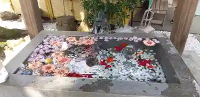 蛇窪神社の手水舎