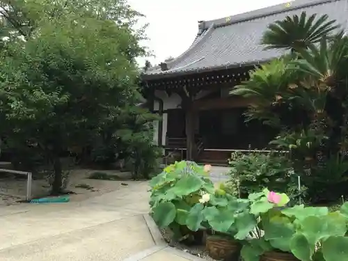 延命寺の本殿・本堂