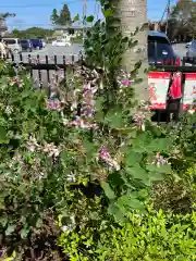 高麗神社の自然