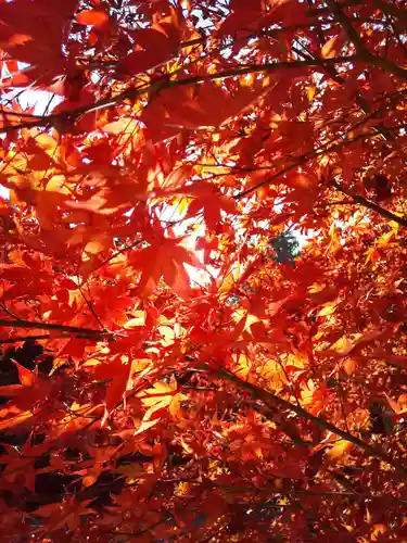 妙楽寺(福井県)
