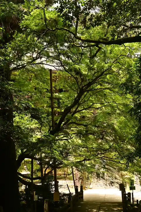 圓教寺(兵庫県)