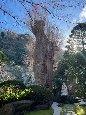 報国寺(神奈川県)