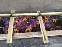 浅草神社の手水舎