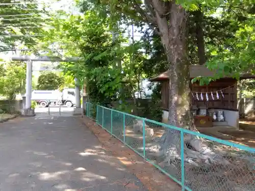 熊野神社の鳥居