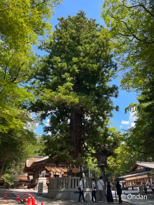 諏訪大社下社秋宮(長野県)