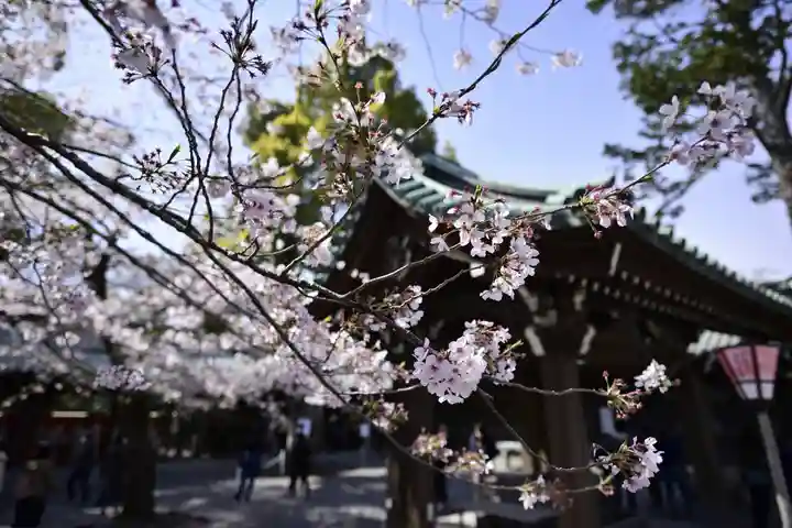 三嶋大社(静岡県)