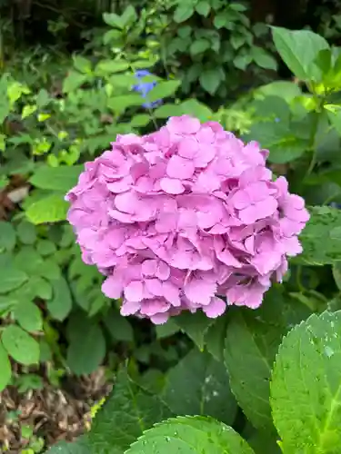 愛宕神社(福島県)