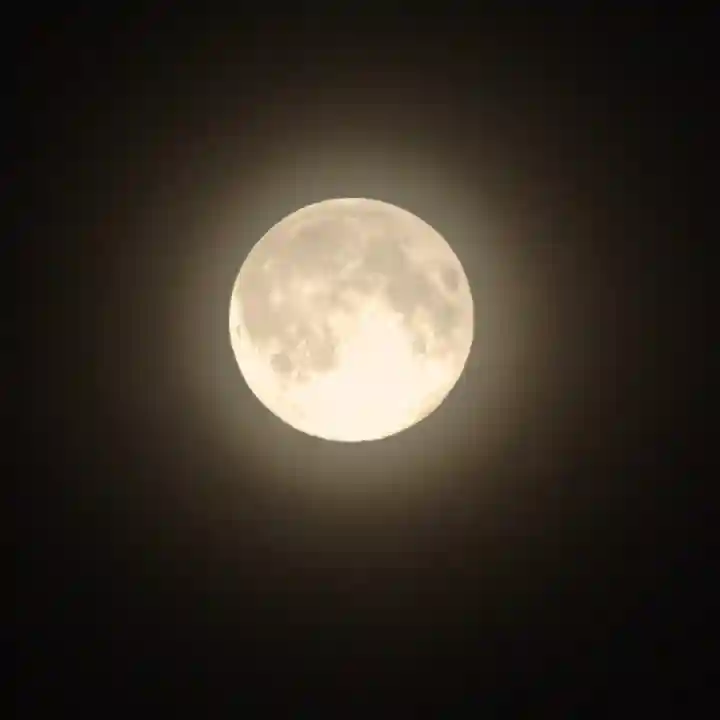 諫早神社(九州総守護 四面宮)(長崎県)