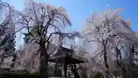 安養寺のその他建物