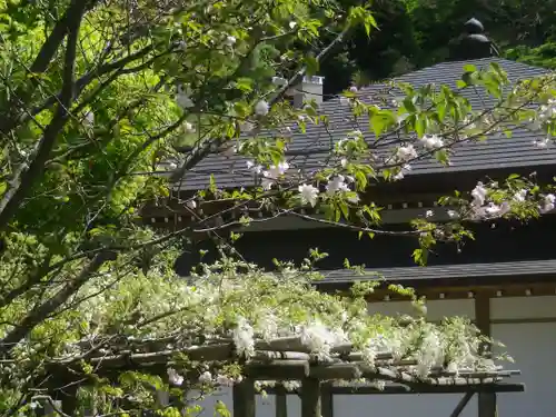 浄妙寺の景色