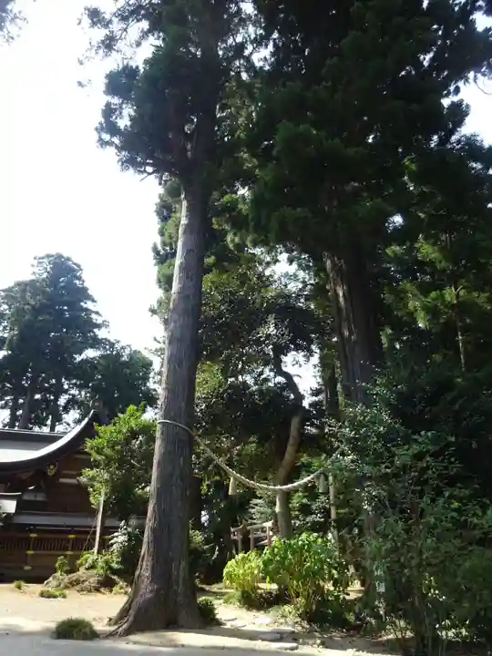 山倉大神の自然