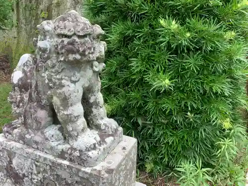 日枝神社の狛犬