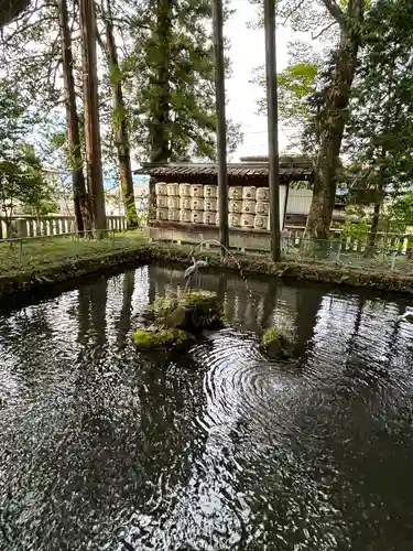 諏訪大社(長野県)