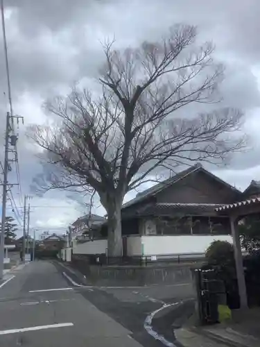 神明社・土之宮合殿の自然