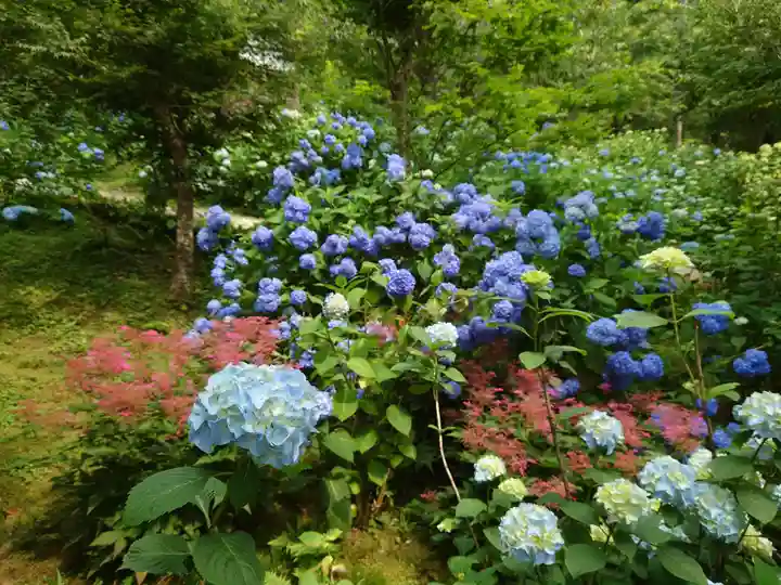 三千院門跡の自然